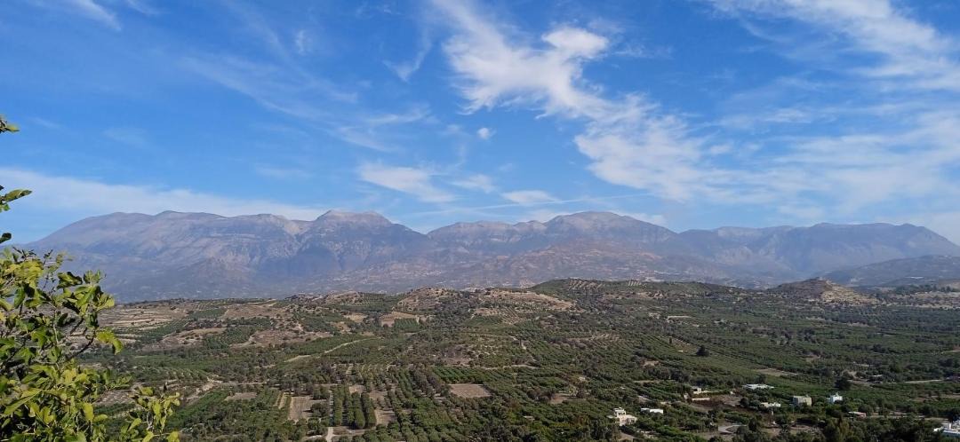 Photo of Others in Kamilari
