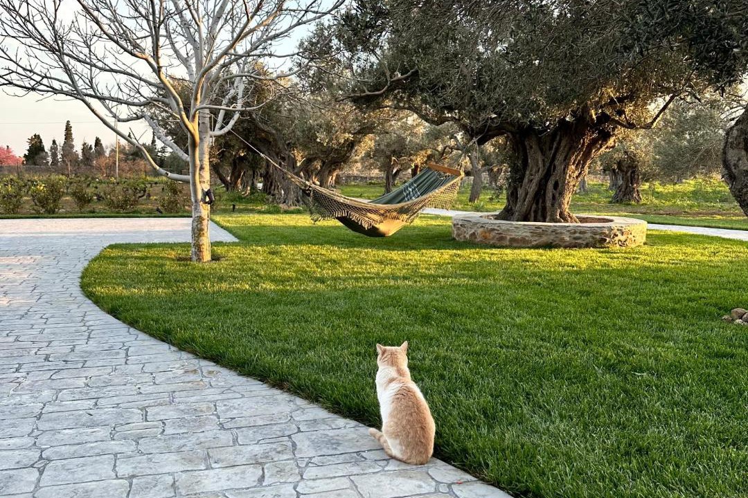 Photo of Others in Karystos
