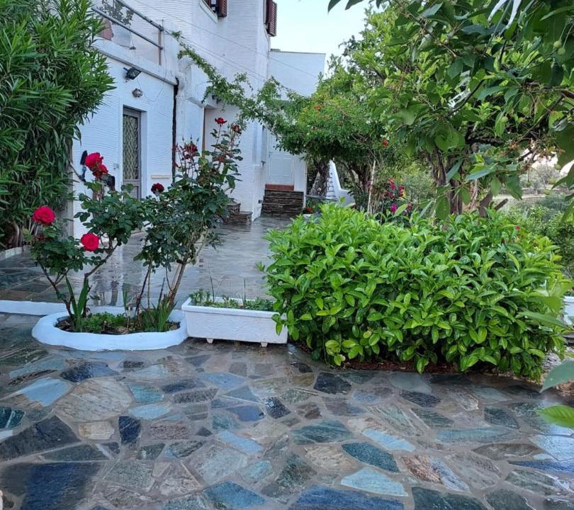 Photo of Others in Andros Town