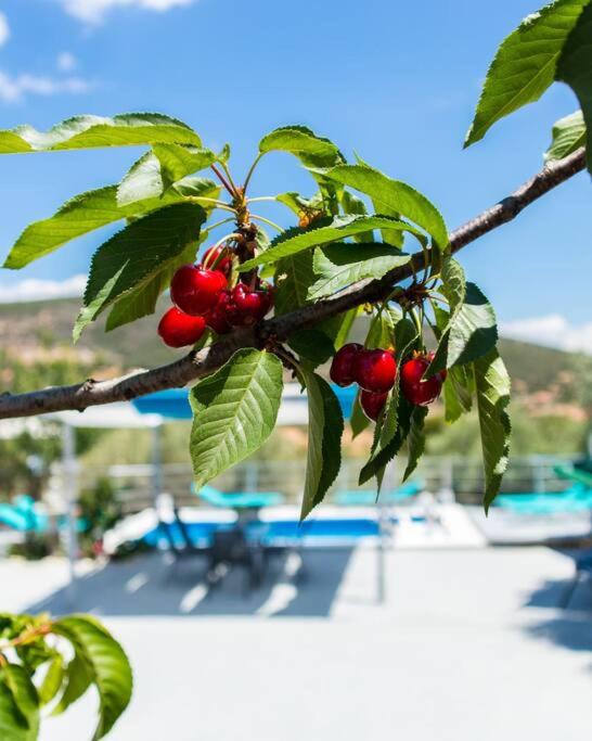 Photo of Outdoor in Lirkia