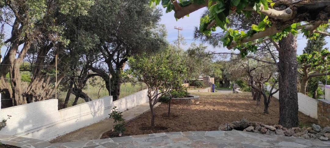 Photo of Others in Karystos