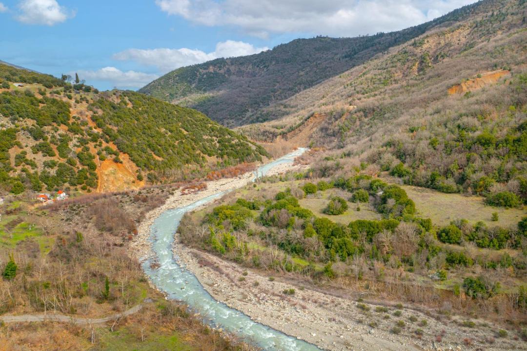 Photo of Others in Terpsithea