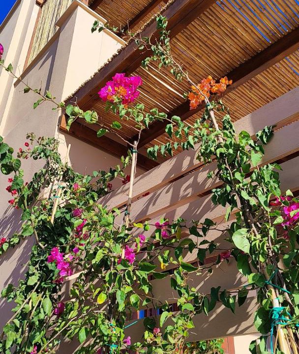 Photo of Buildings in Monolithos