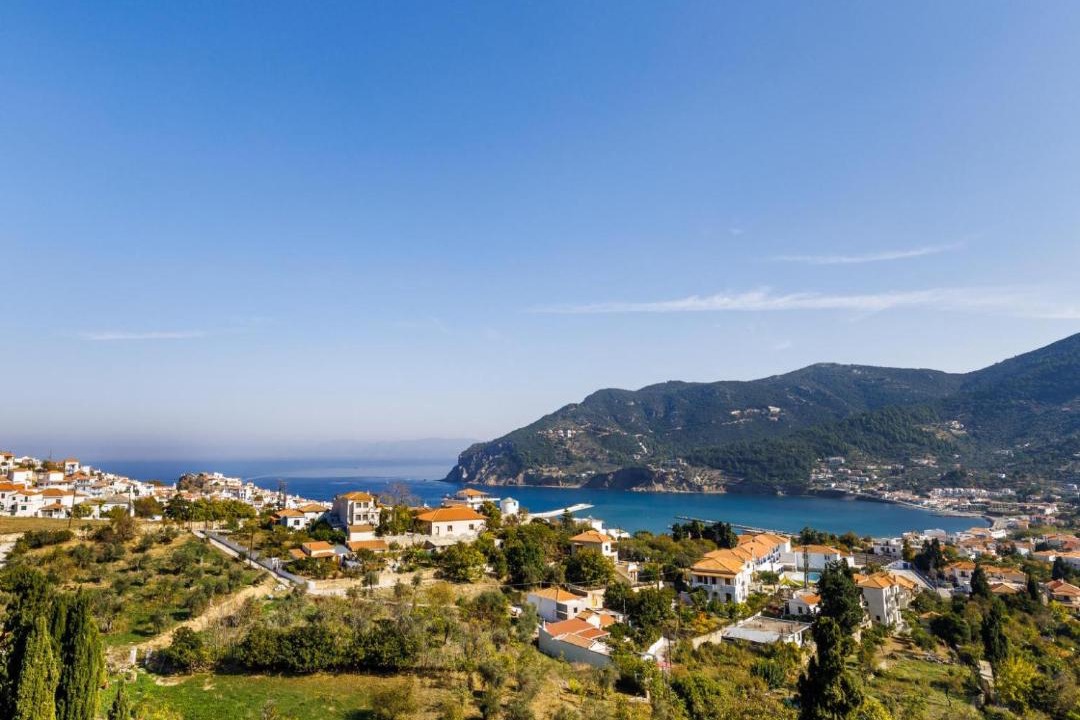 Photo of Others in Skopelos Town