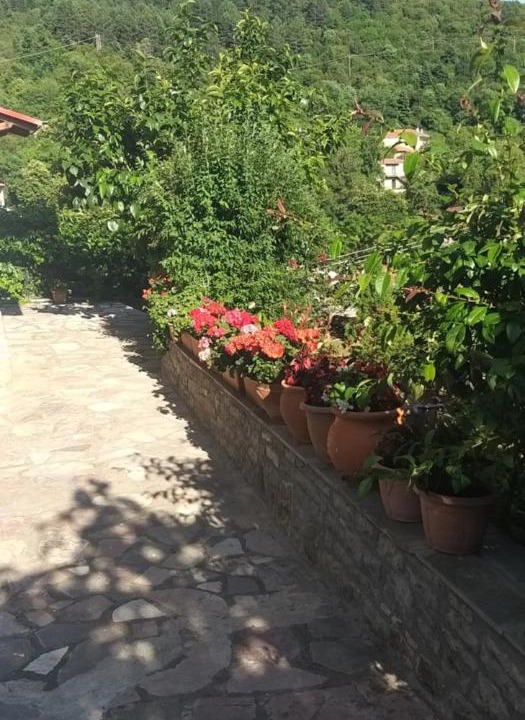 Photo of Others in Karpenisi