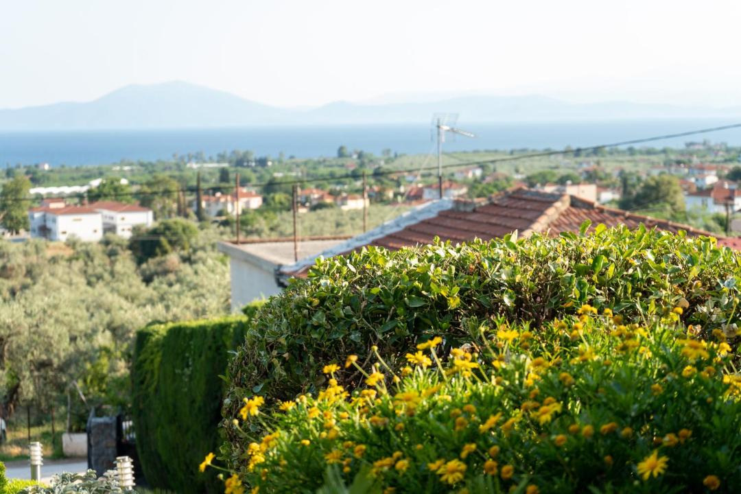 Photo of Others in Kato Lechonia