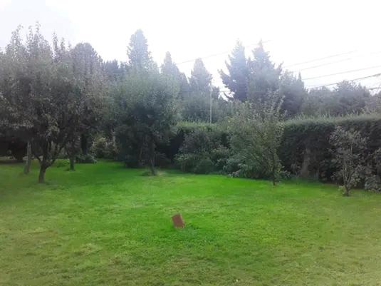 Photo of Outdoor in Playa Bonita
