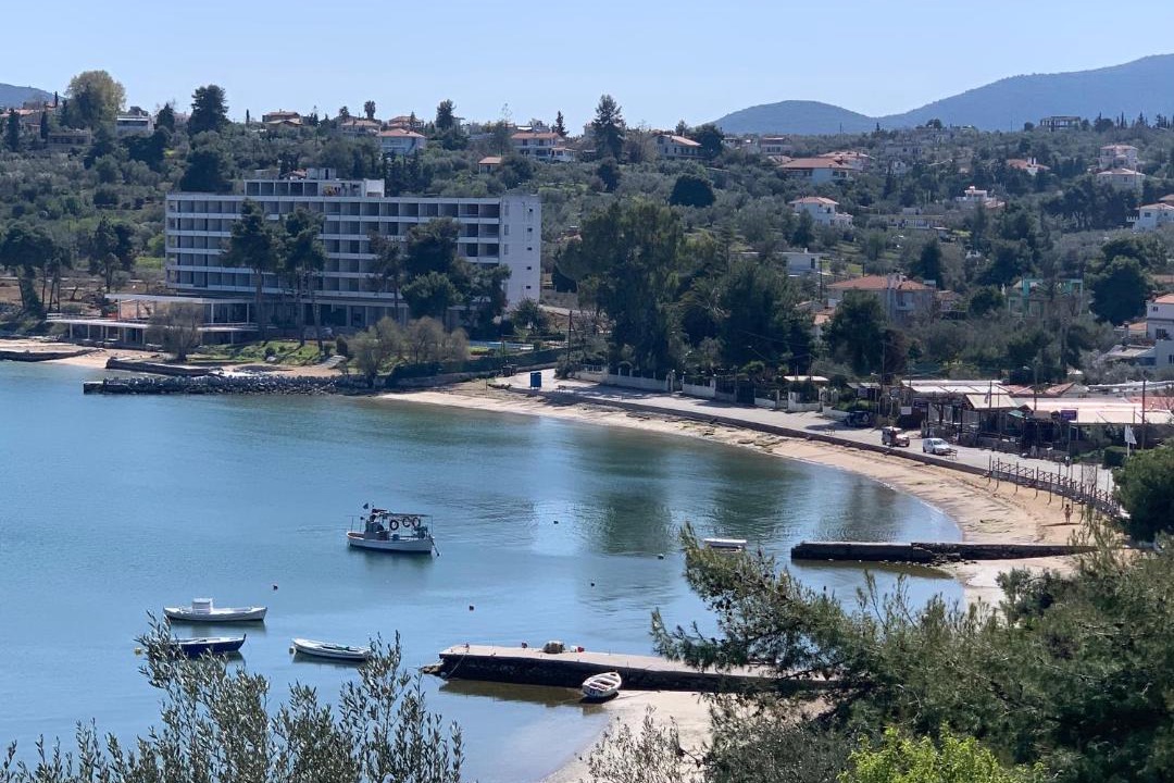 Photo of Others in Chalcis