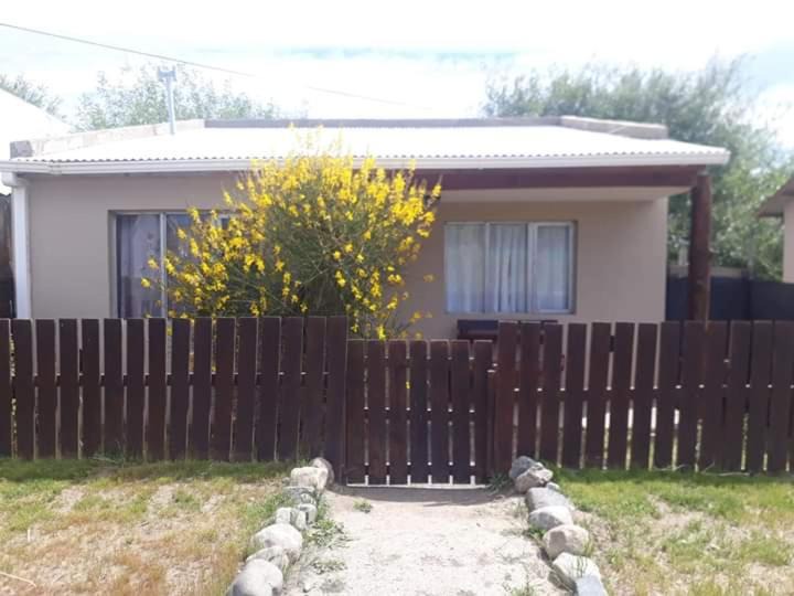 Photo of Others in Macrozona Meseta Cerro Calafate