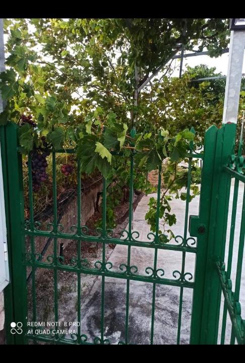 Photo of Others in Karystos