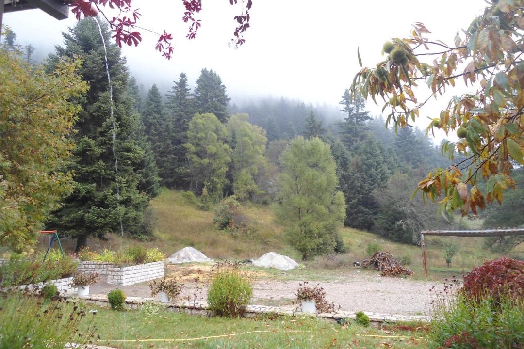 Photo of Others in Karpenisi