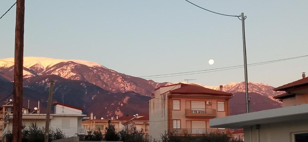 Photo of Others in Paralia Skotinis