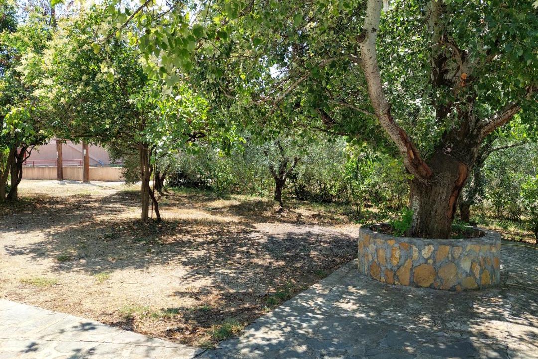 Photo of Others in Psakoudia