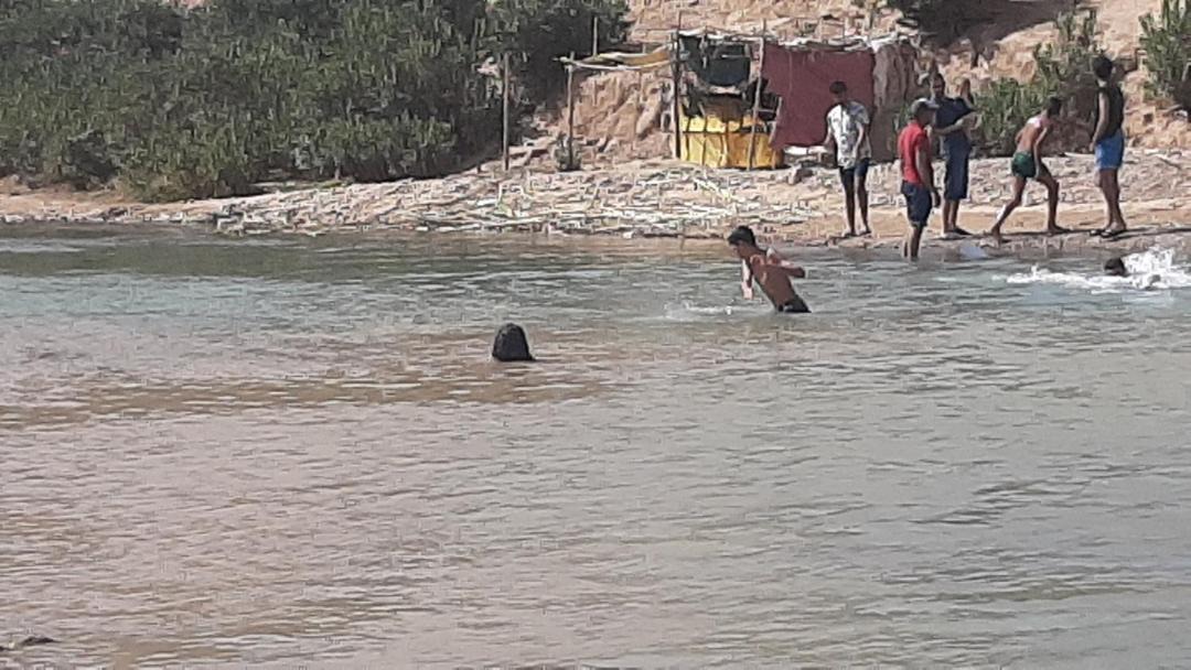 Photo of Others in El Menzel