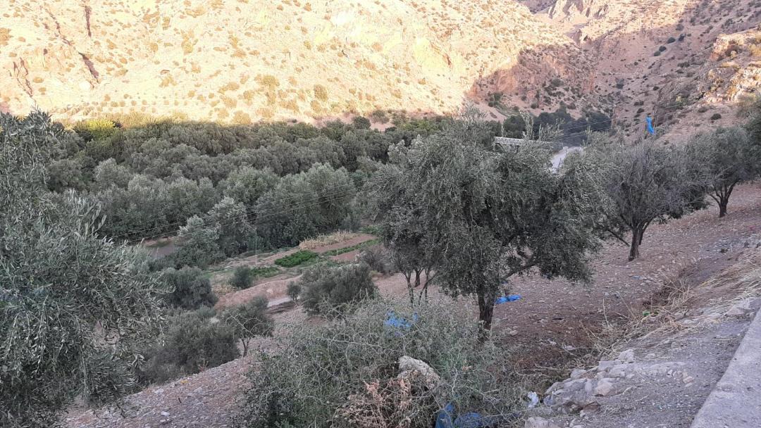 Photo of Outdoor in El Menzel