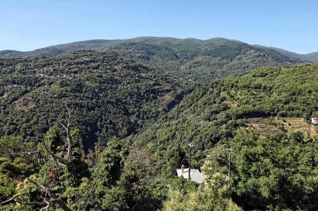 Photo of Others in Agios Dimitrios