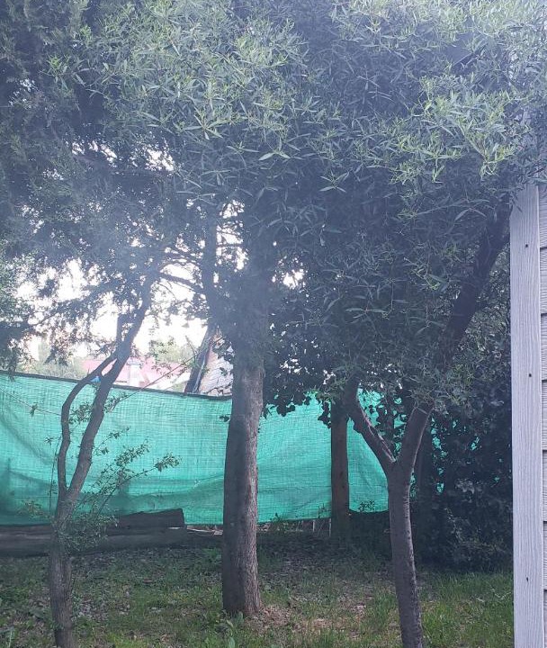 Photo of Outdoor in Villa Los Coihues