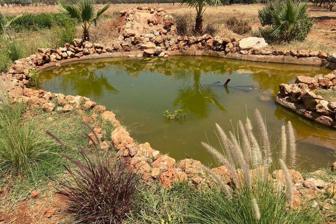 Photo of Outdoor in Ain Chkef