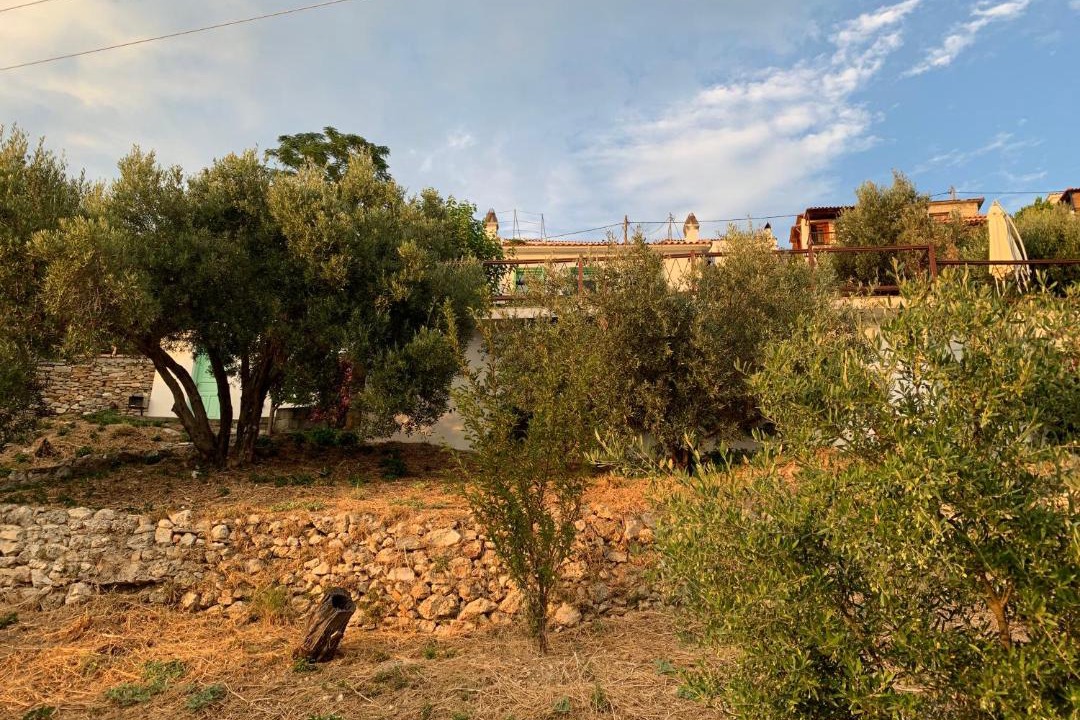 Photo of Others in Xanthi Region
