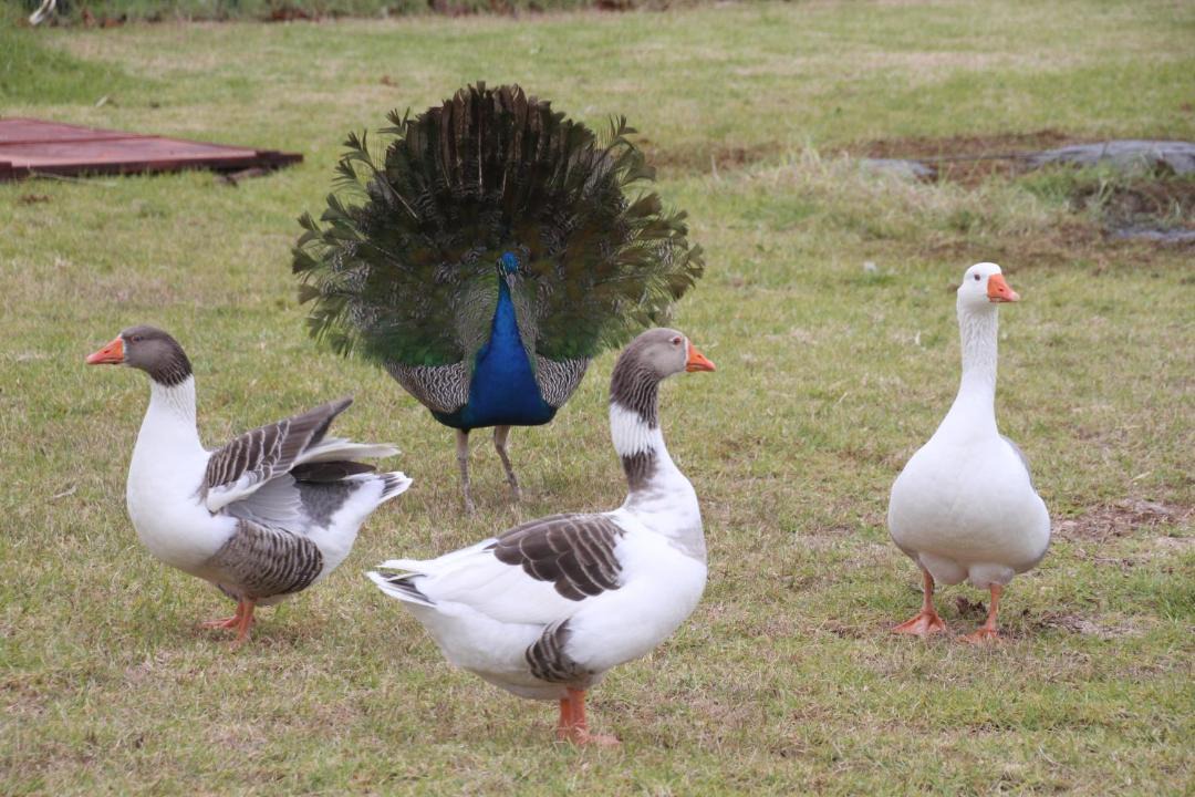 Photo of Others in Bouhlou