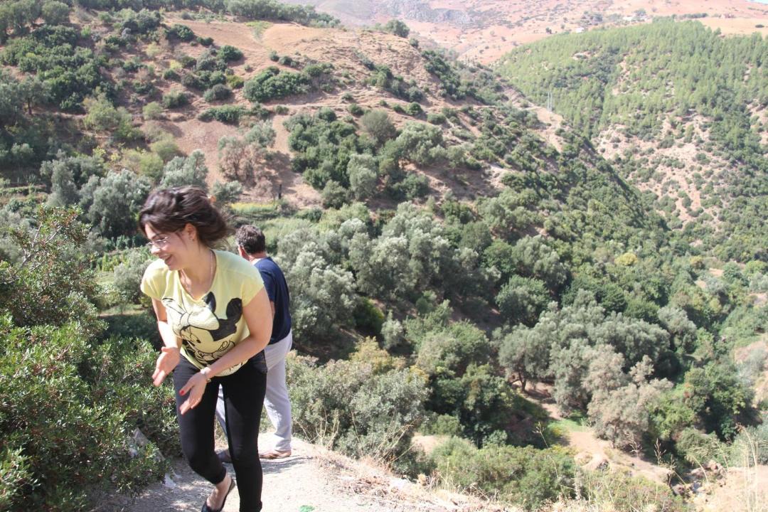 Photo of Human In Picture in Bouhlou