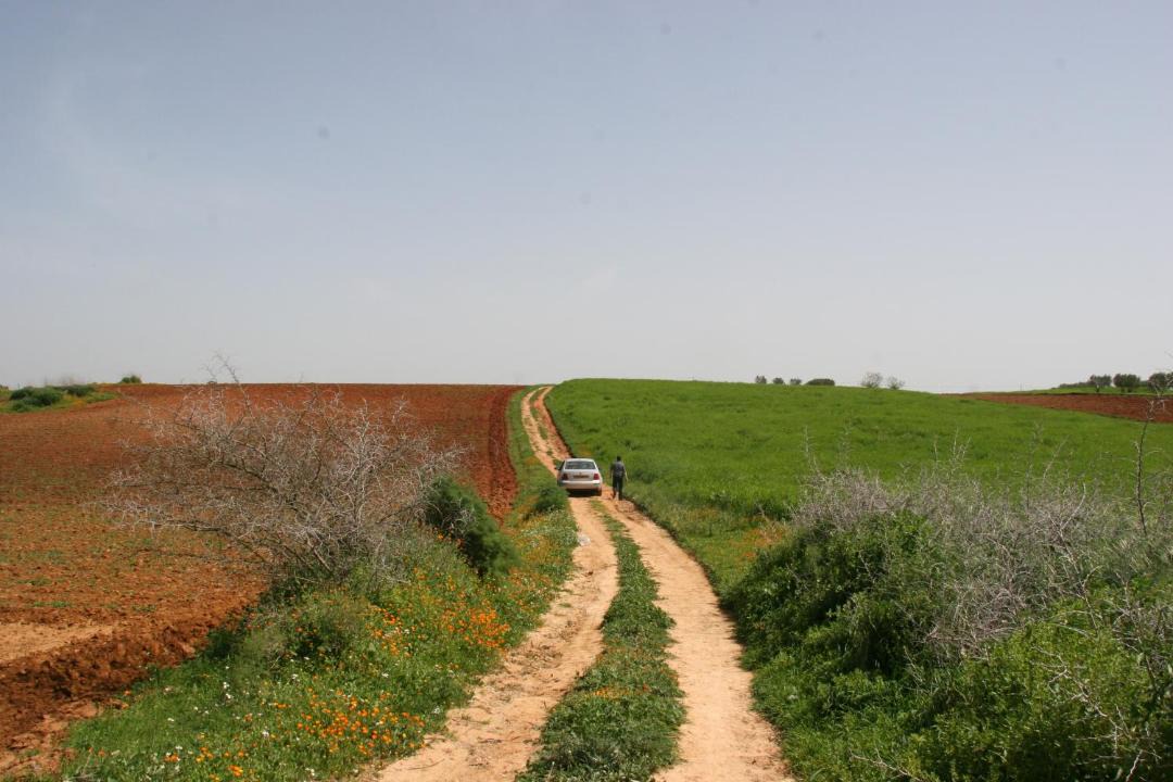 Photo of Outdoor in Bouhlou