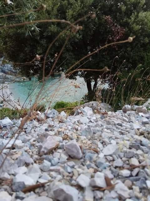 Photo of Others in Pagoneri