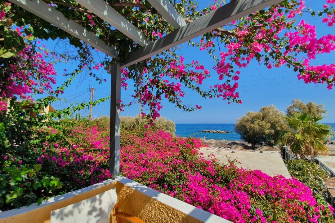 Photo of Patio Balcony in Kamari
