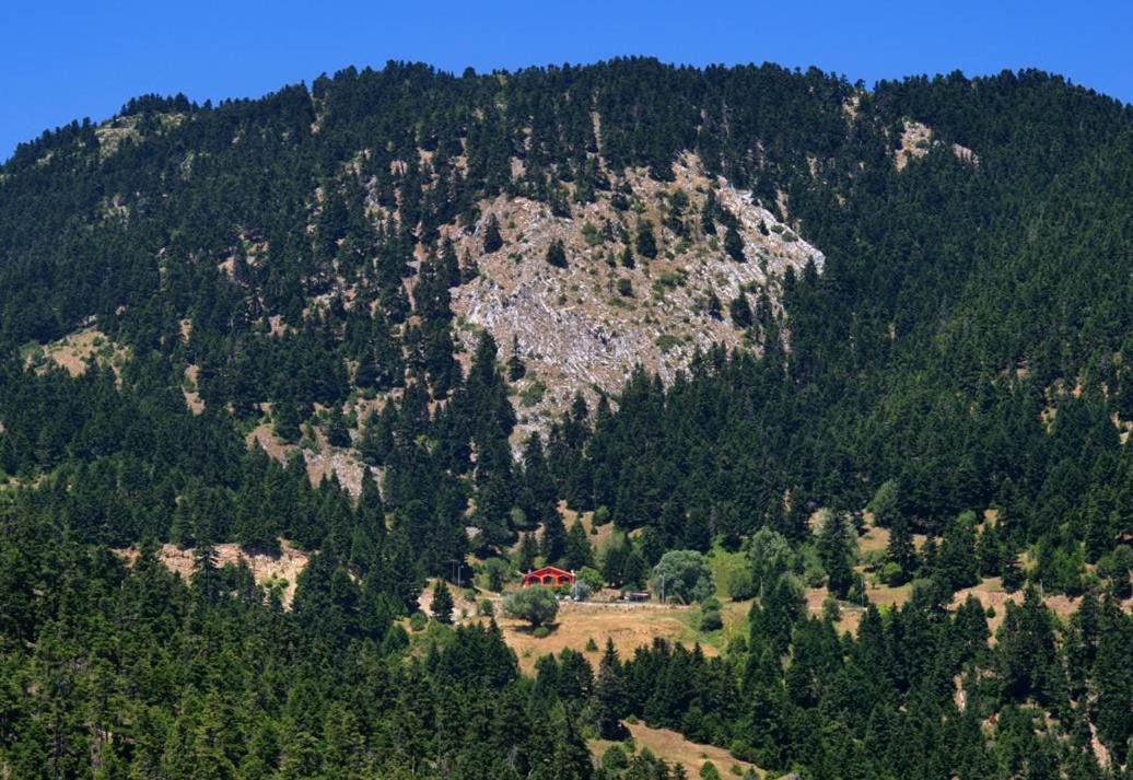 Photo of Others in Karpenisi