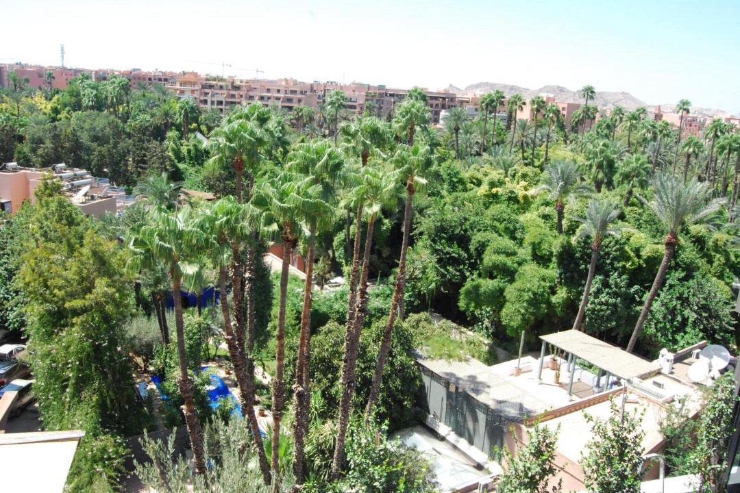 Photo of Others in Majorelle