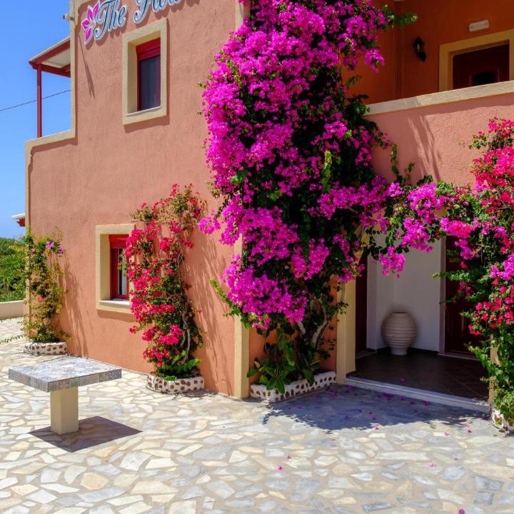 Photo of Others in Oia