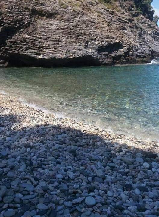 Photo of Others in Pagoneri