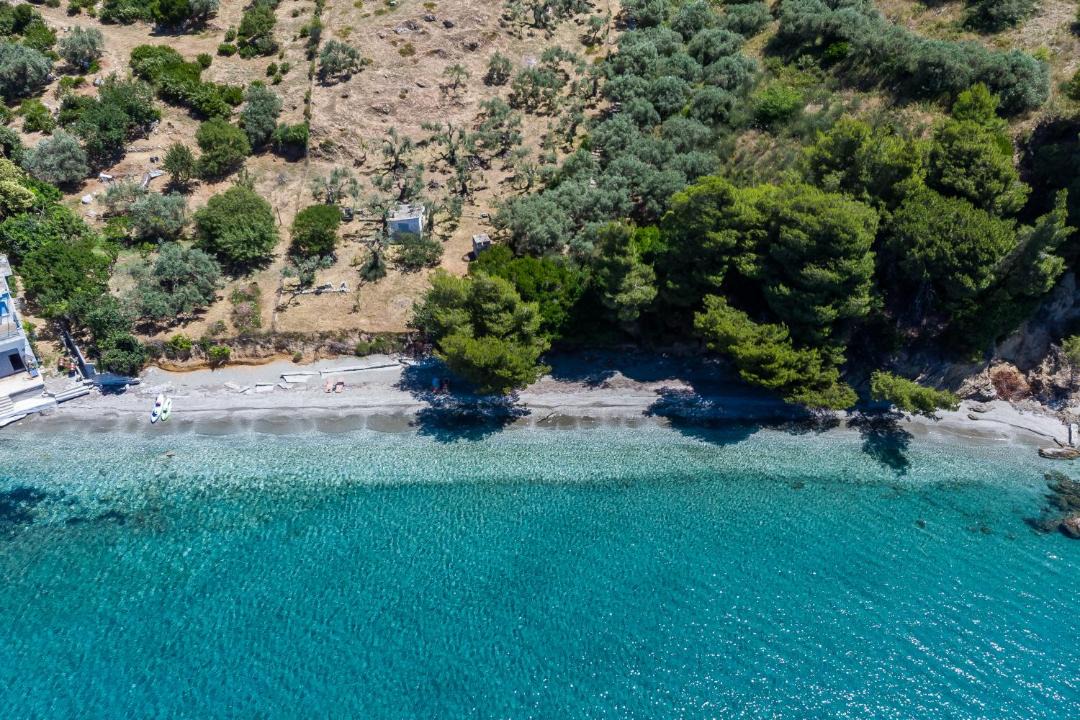 Photo of Others in Elios