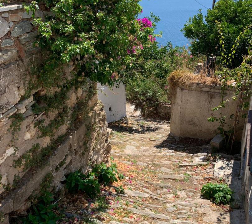 Photo of Others in Xanthi Region