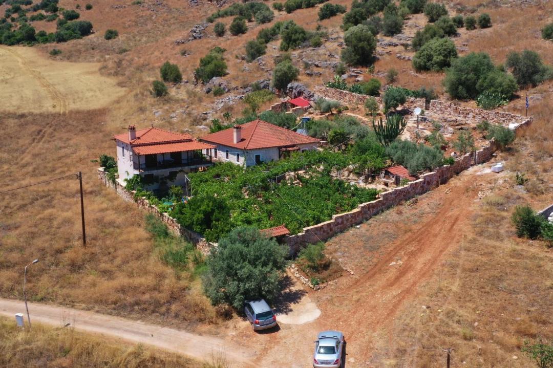 Photo of Others in Lerna