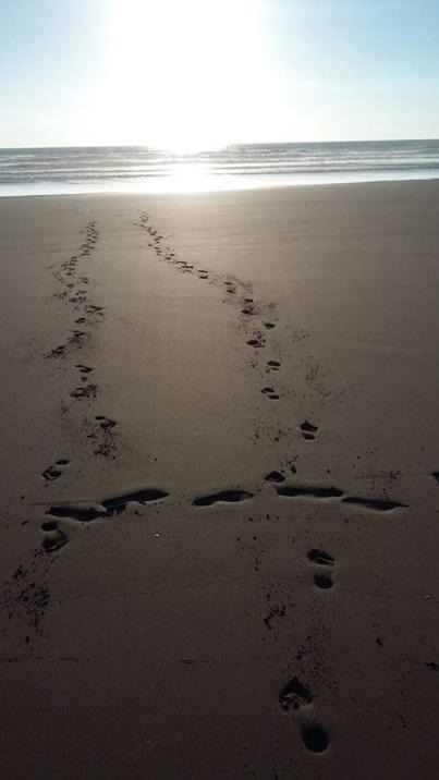 Photo of Outdoor in Sidi R'bat