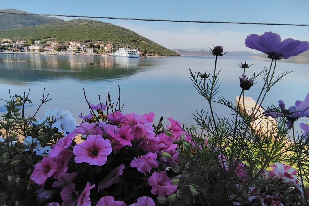 Photo of Others in Steni Dirfyos