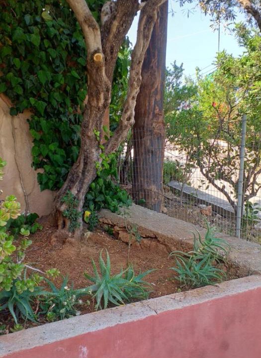 Photo of Others in Ammoudara