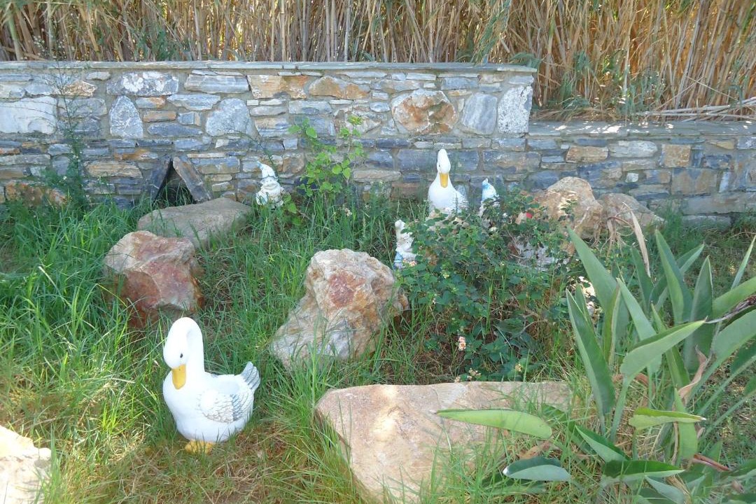Photo of Others in Agios Prokopios