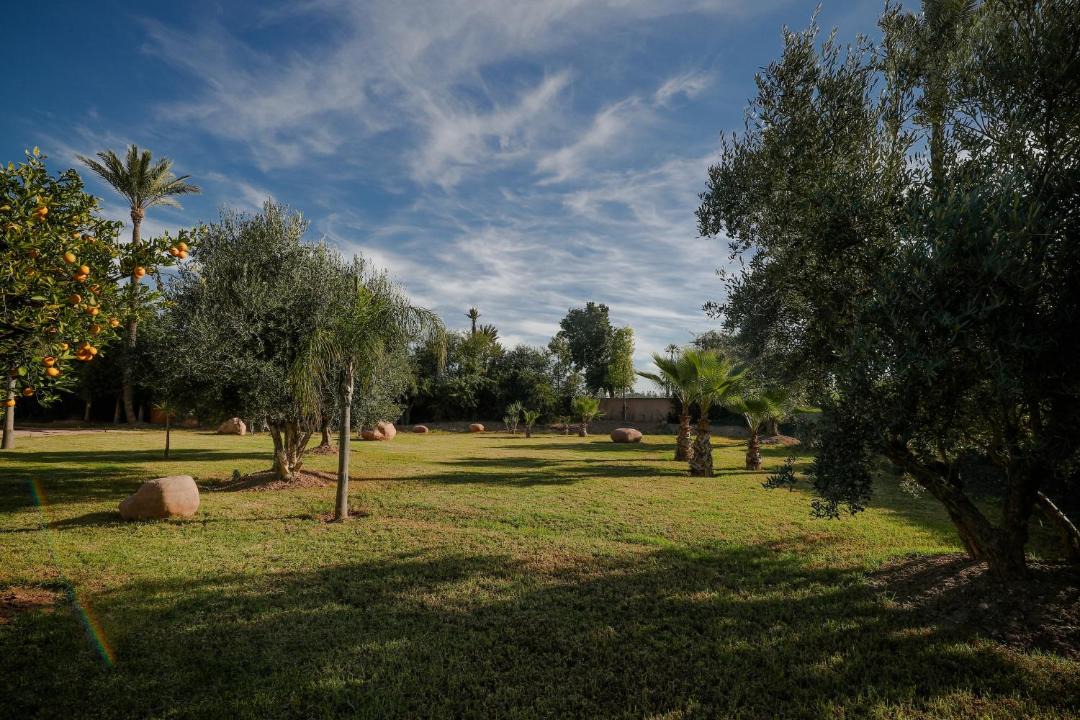 Photo of Outdoor in Palmeraie