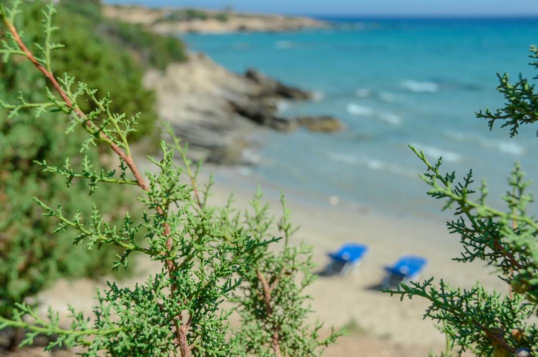 Photo of Others in Naxos