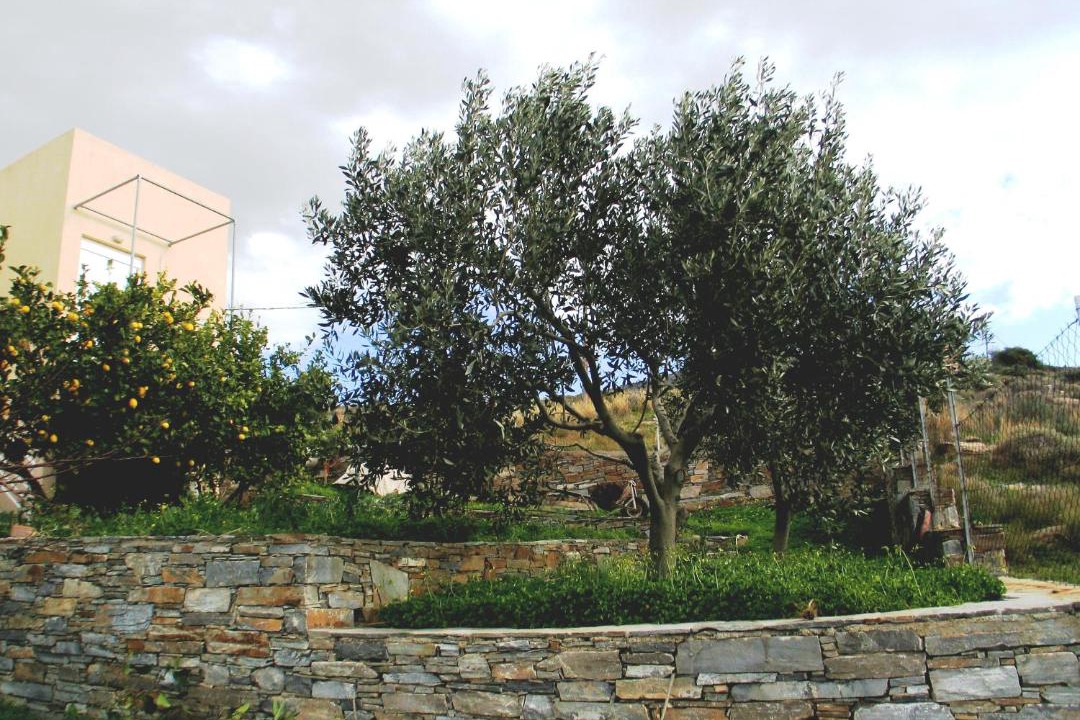 Photo of Others in Karystos