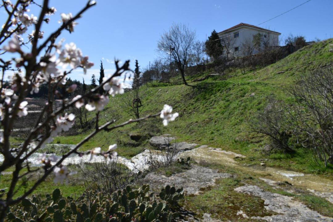 Photo of Others in Trikala