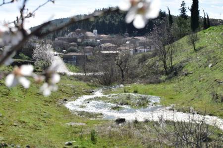 Photo of Others in Trikala