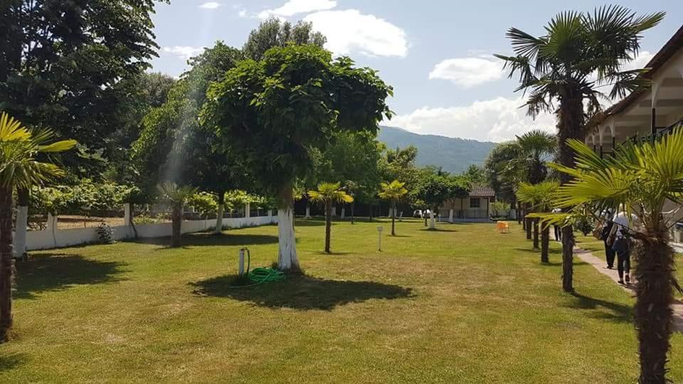 Photo of Others in Paralia Pantaleimonos
