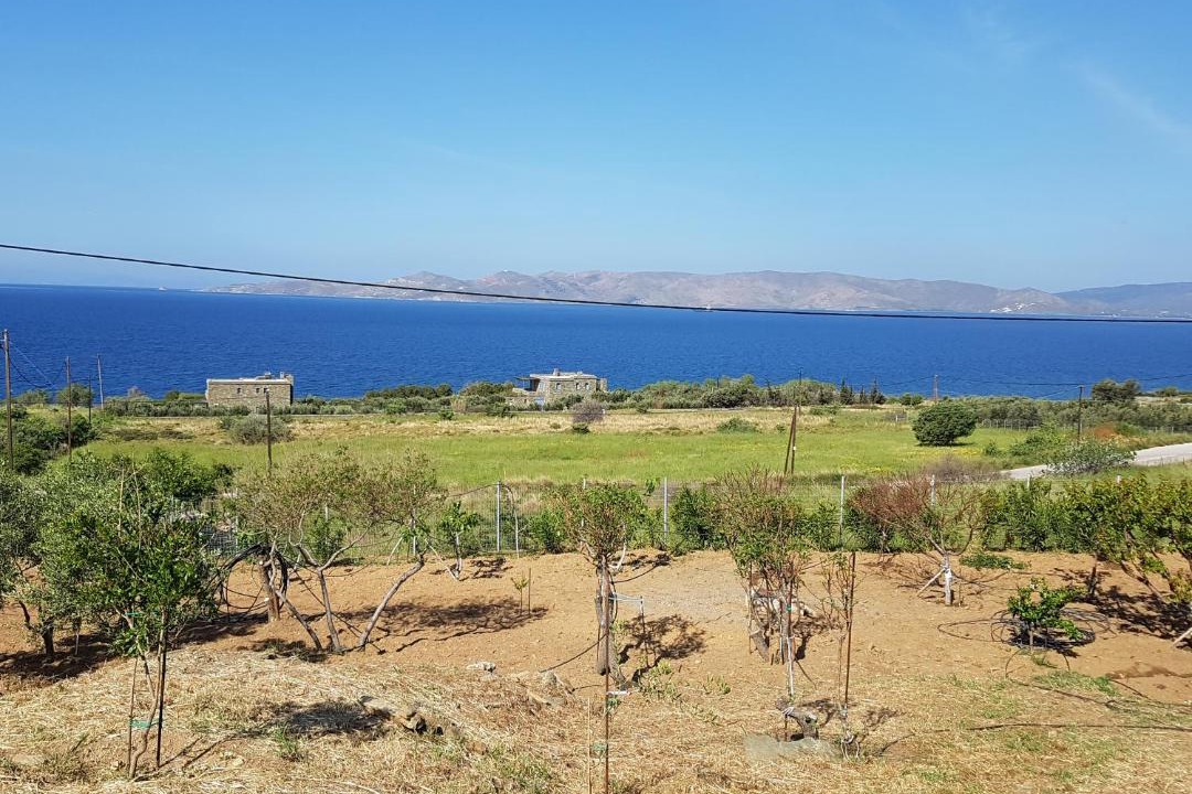 Photo of Others in Karystos