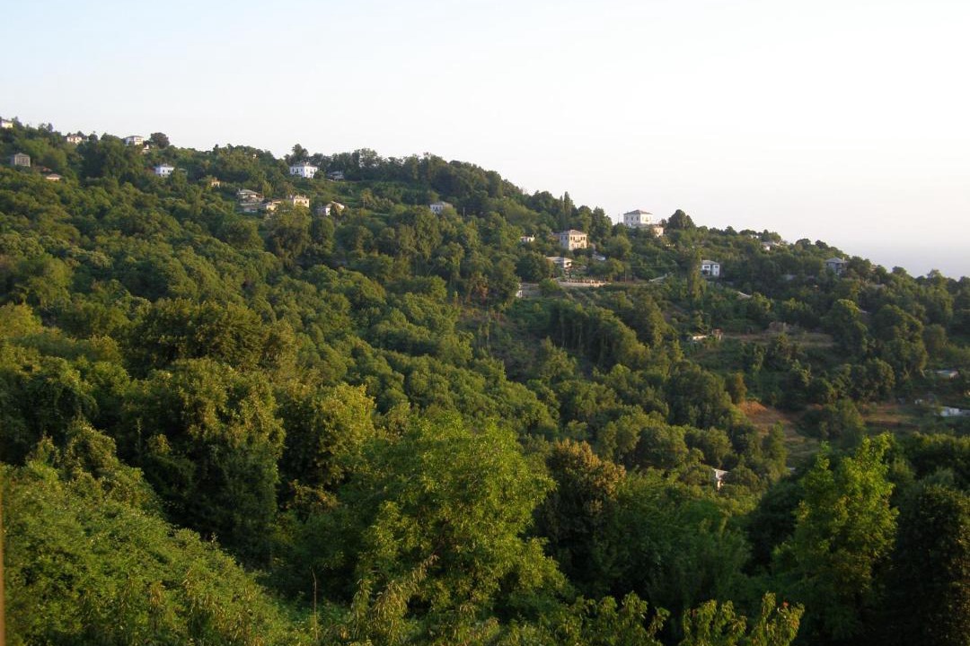 Photo of Others in Tsagarada