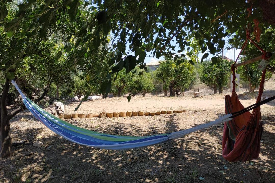 Photo of Outdoor in Lepreo