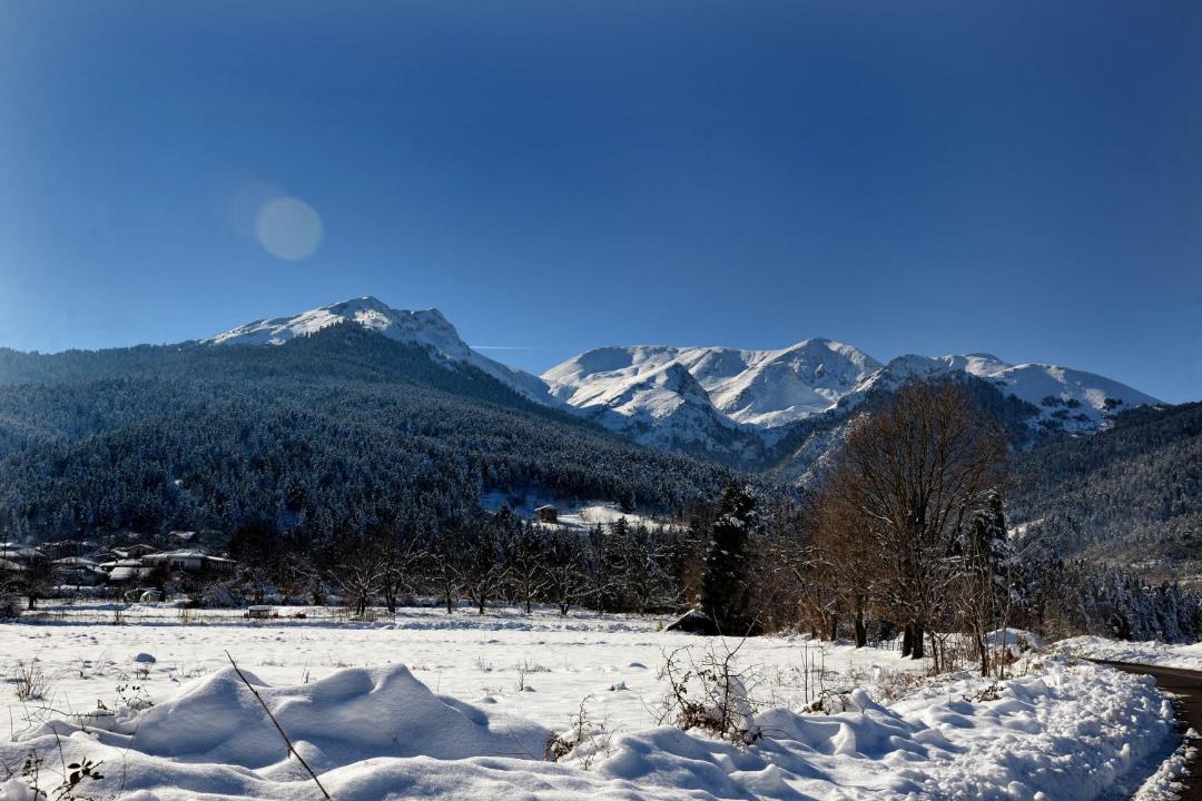 Photo of Others in Lake Plastiras