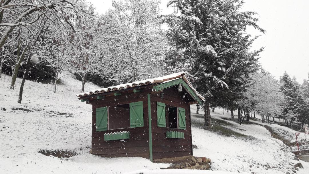 Photo of Others in Trikala